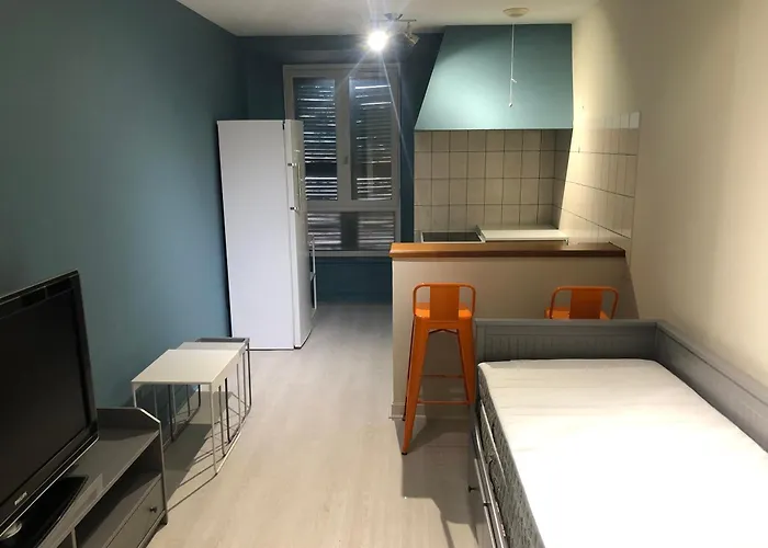 Portes Du Cantal 2 * 마시악